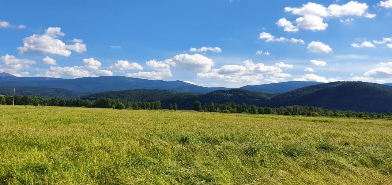 Apartament Wita Stwosza Jelenia Góra Esterno foto