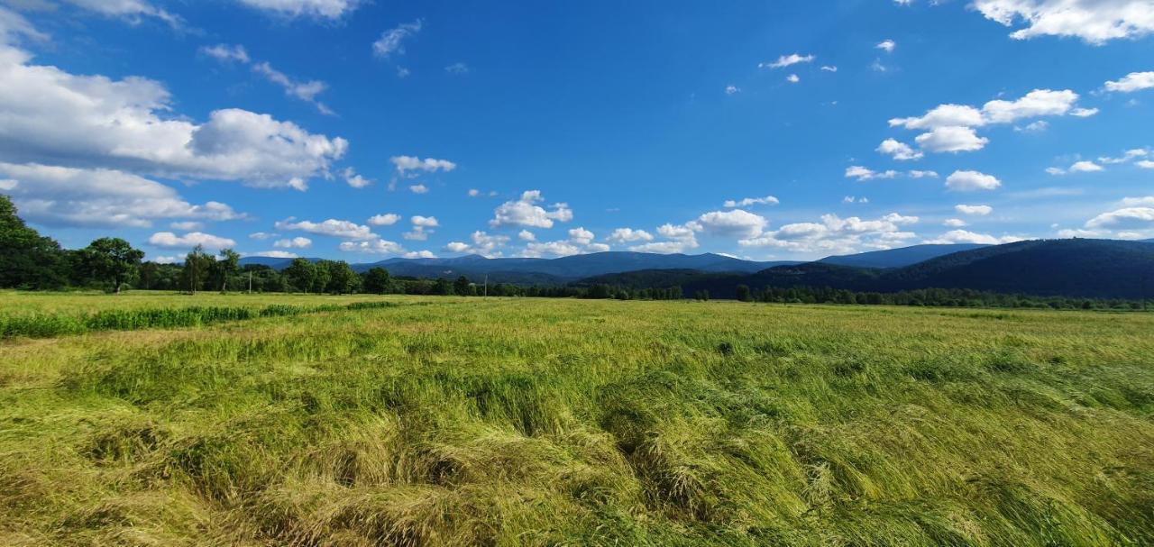 Apartament Wita Stwosza Jelenia Góra Esterno foto